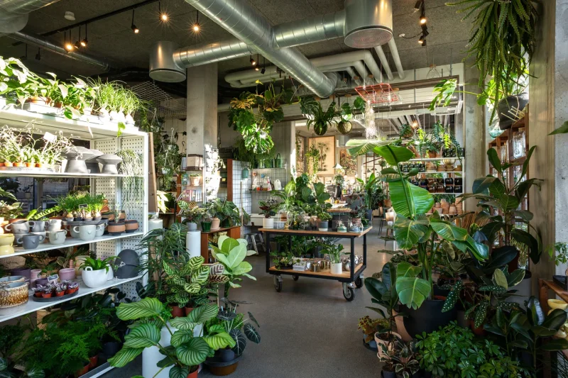 Café Boutique Plantecaféen