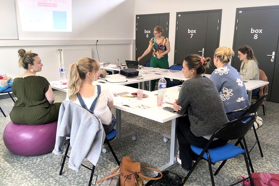 Formations<br> professionnelles